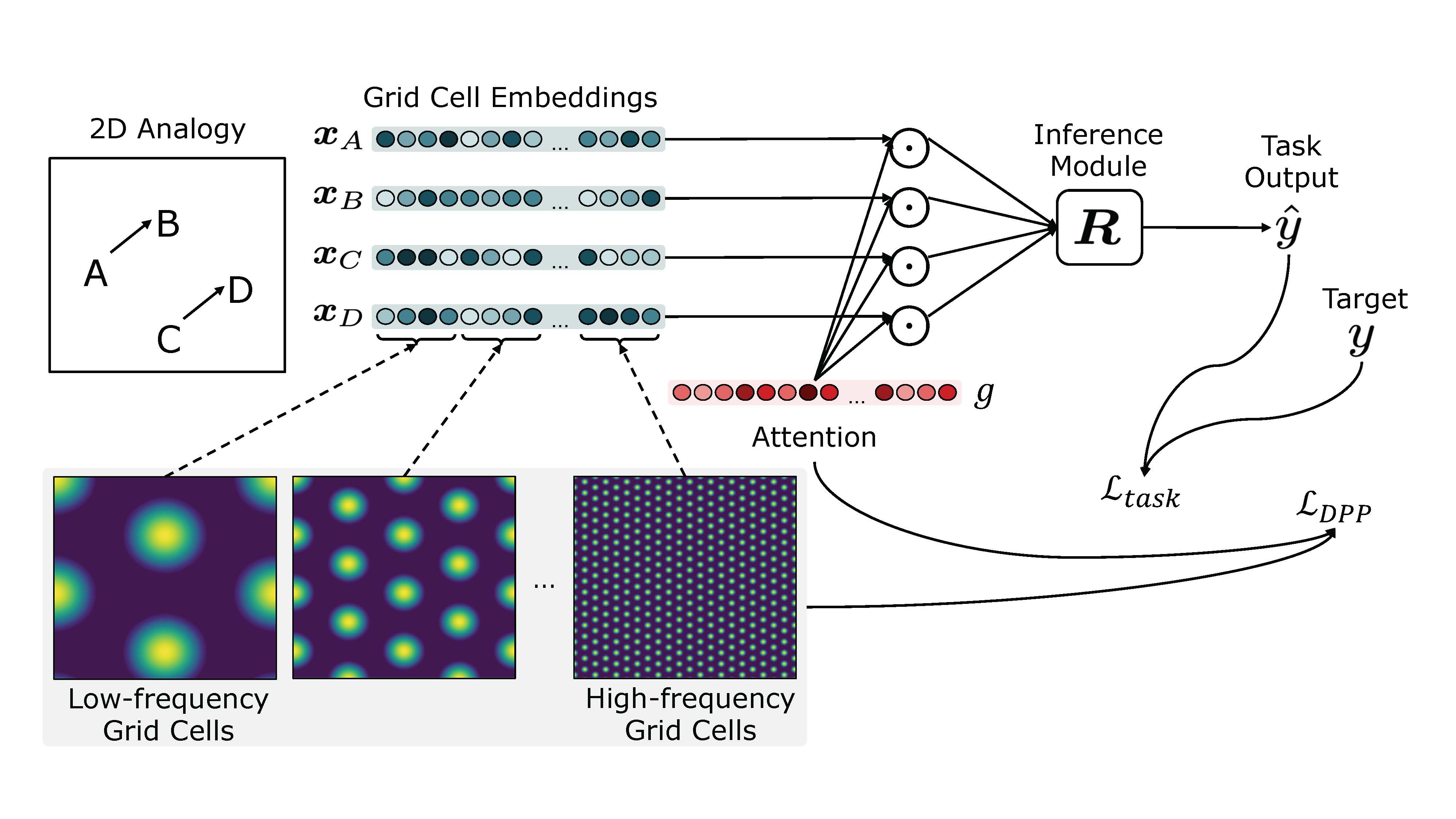 dppa_schematic_elife.jpg